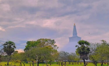 Sacred Ruins & Bodhi Tree Tour