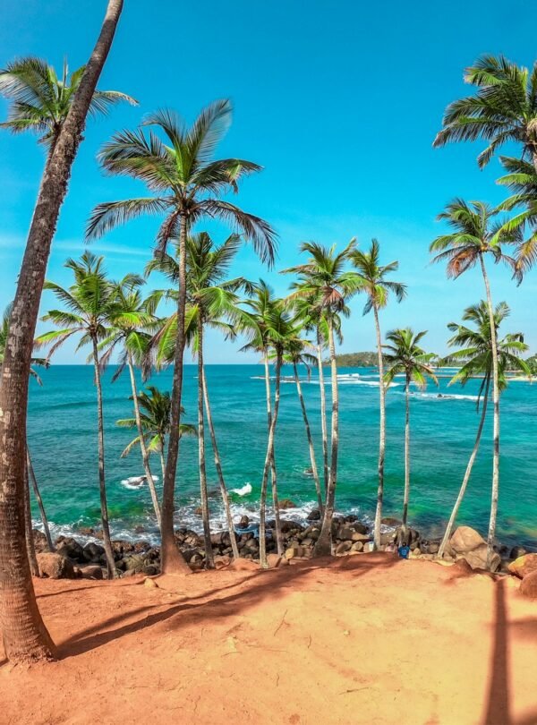 Mirissa Tourist Destination Sri Lanka02